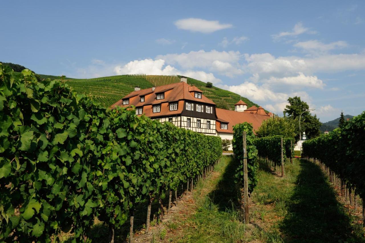 Hotel Residenz Im Schloss Neuweier Baden-Baden Ngoại thất bức ảnh